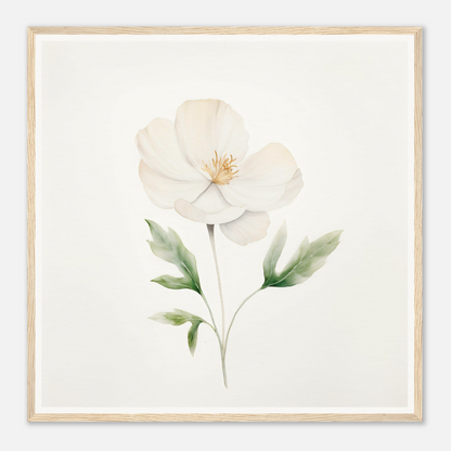 Delicate white flower with pale green leaves and stem in watercolor style.