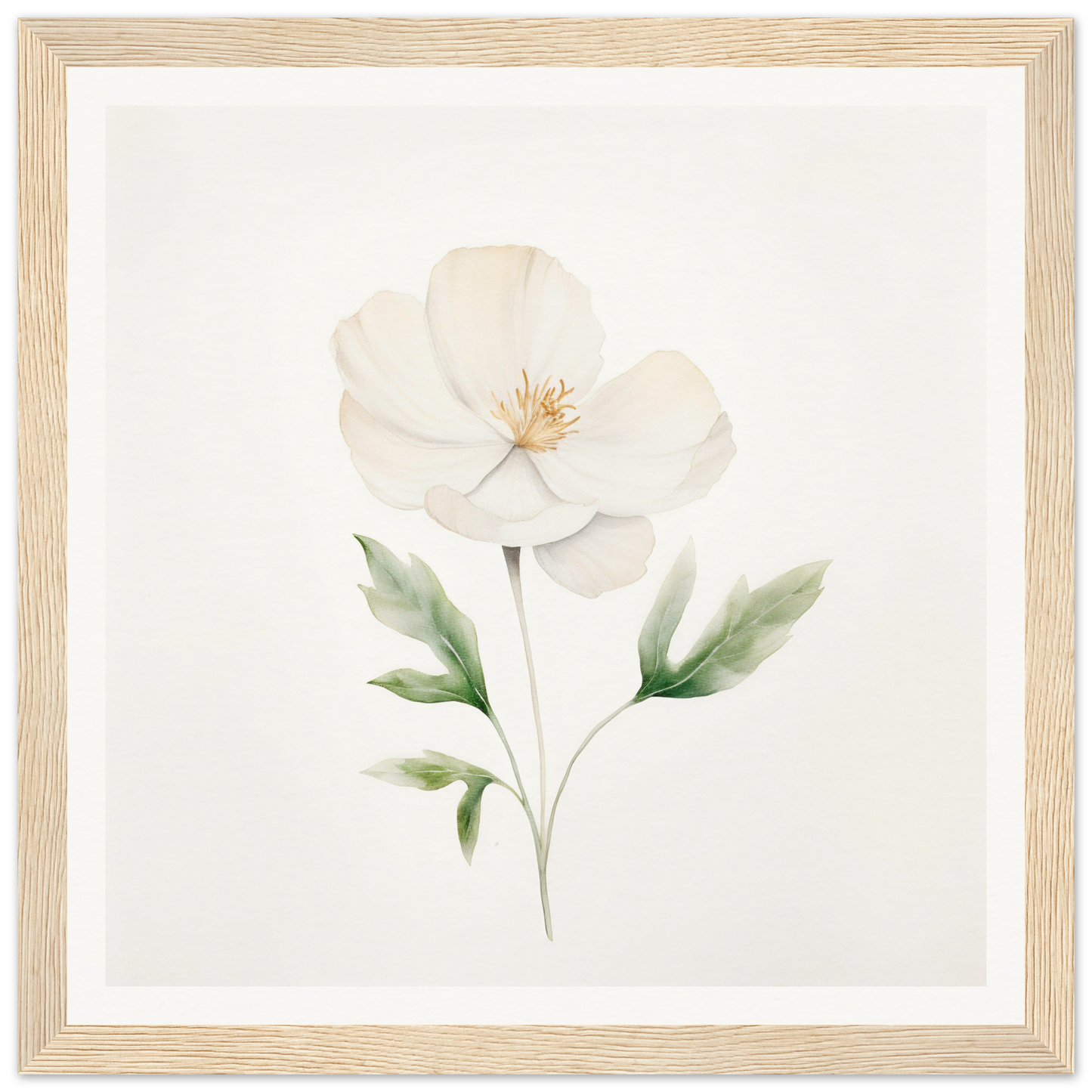 Delicate white flower with pale green leaves painted in watercolor style.