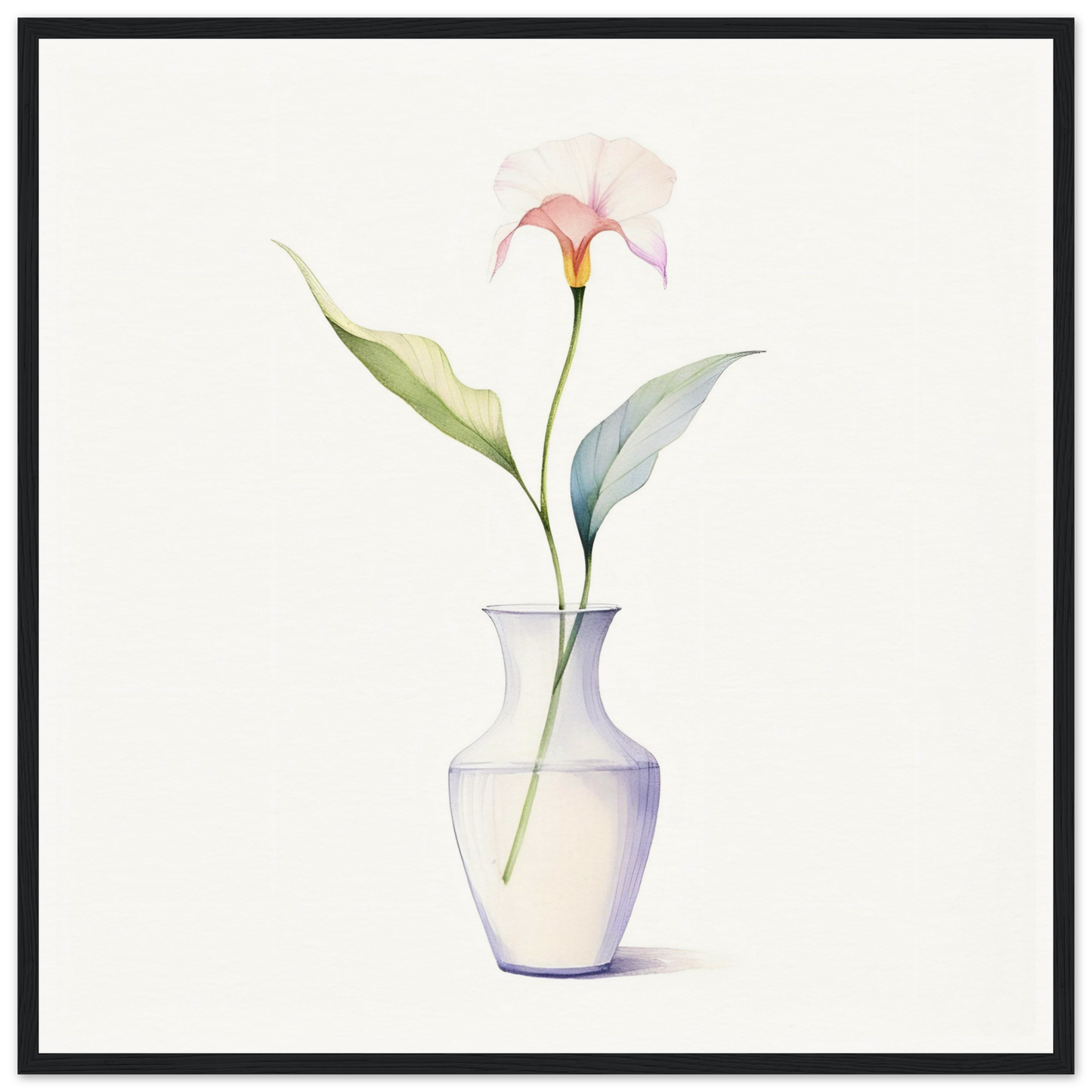 Single calla lily in a white vase.