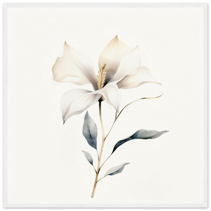 Delicate white flower with soft petals and a slender stem.