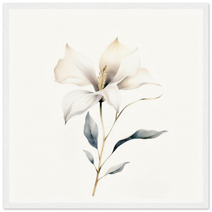 Delicate white flower with soft petals and a slender stem.