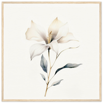 Delicate white flower with soft petals and a slender stem.