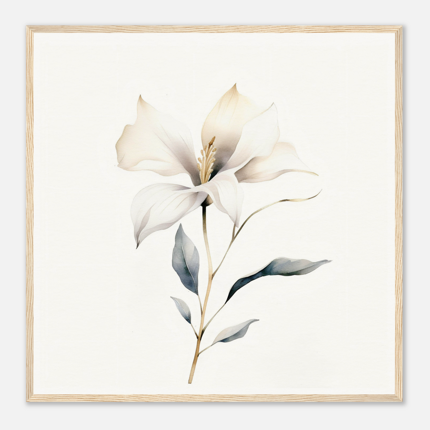 Delicate white lily flower with soft petals and a slender stem.