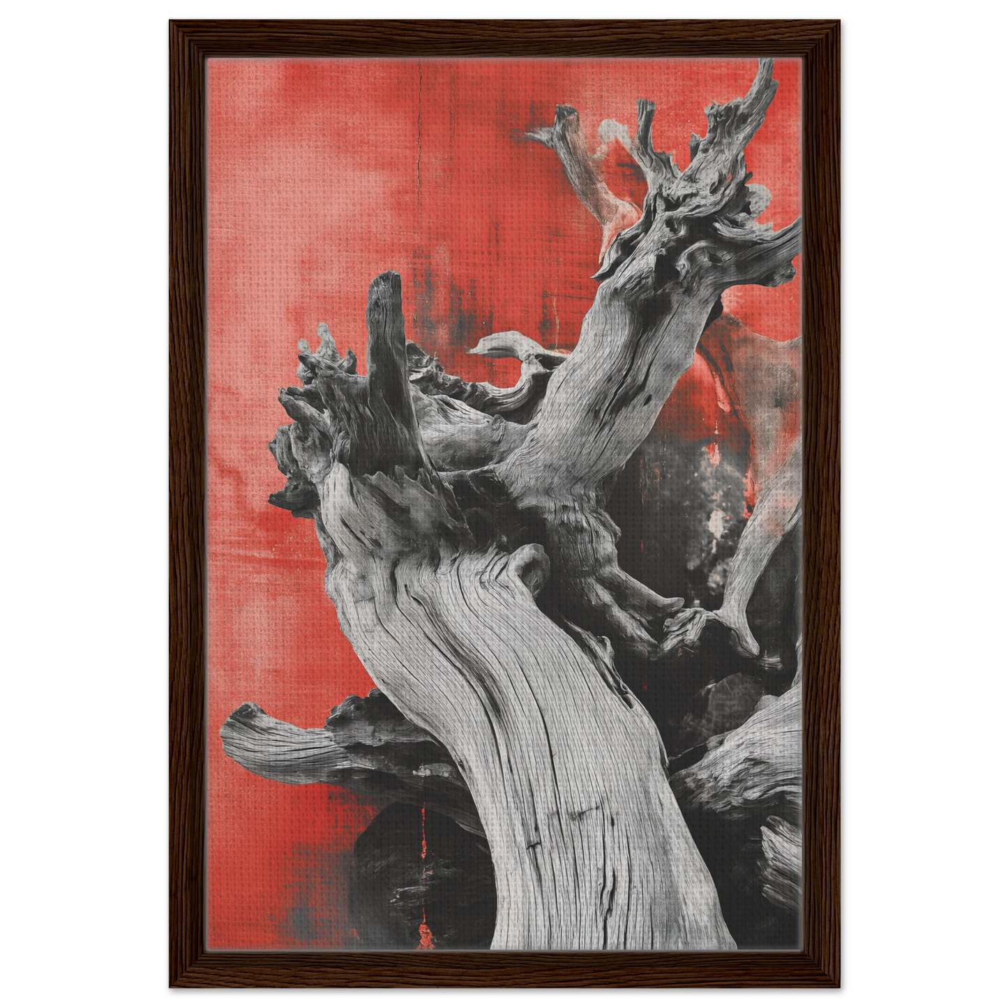 Gnarled driftwood against red background, part of Fluid Wood Epiphany room decor collection