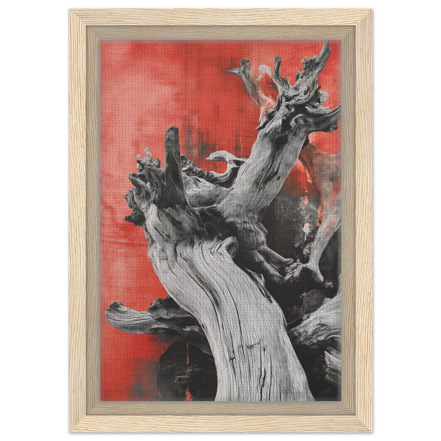 Gnarled tree trunk on vibrant red background, Fluid Wood Epiphany framed canvas print