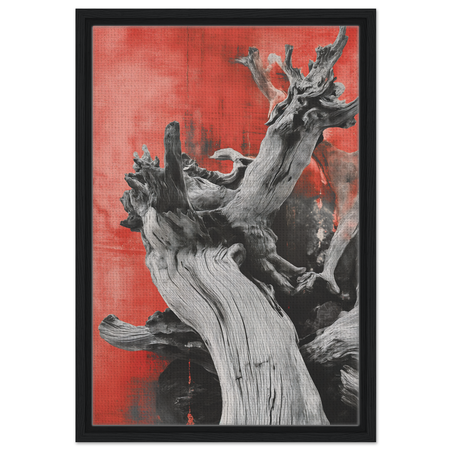 Gnarled driftwood against a red background for Fluid Wood Epiphany room decor