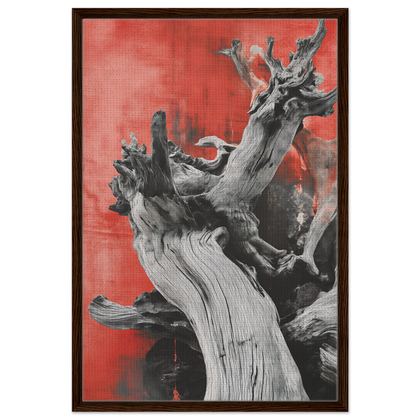 Gnarled driftwood against a red background in Fluid Wood Epiphany framed canvas print