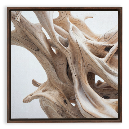 A framed photograph of drift wood