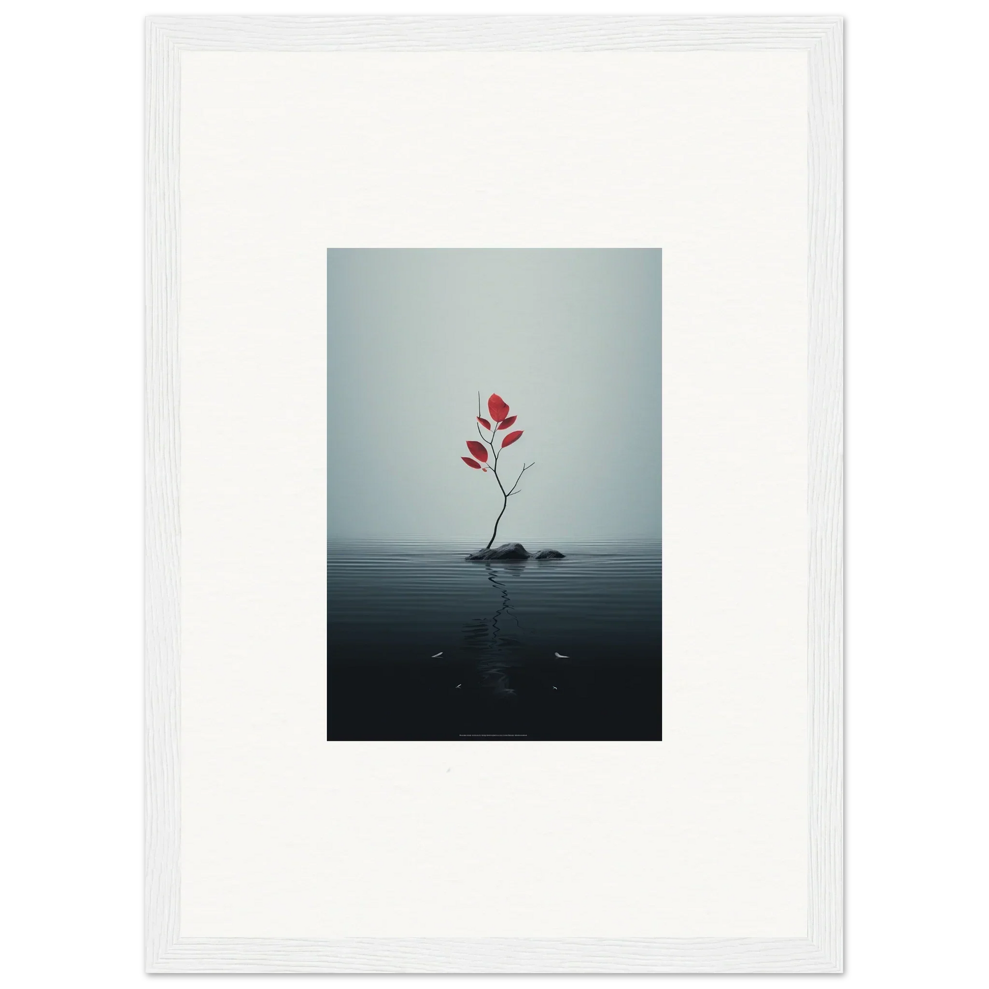 Red flower growing from rock in water, perfect for Autumn Symphony room decor