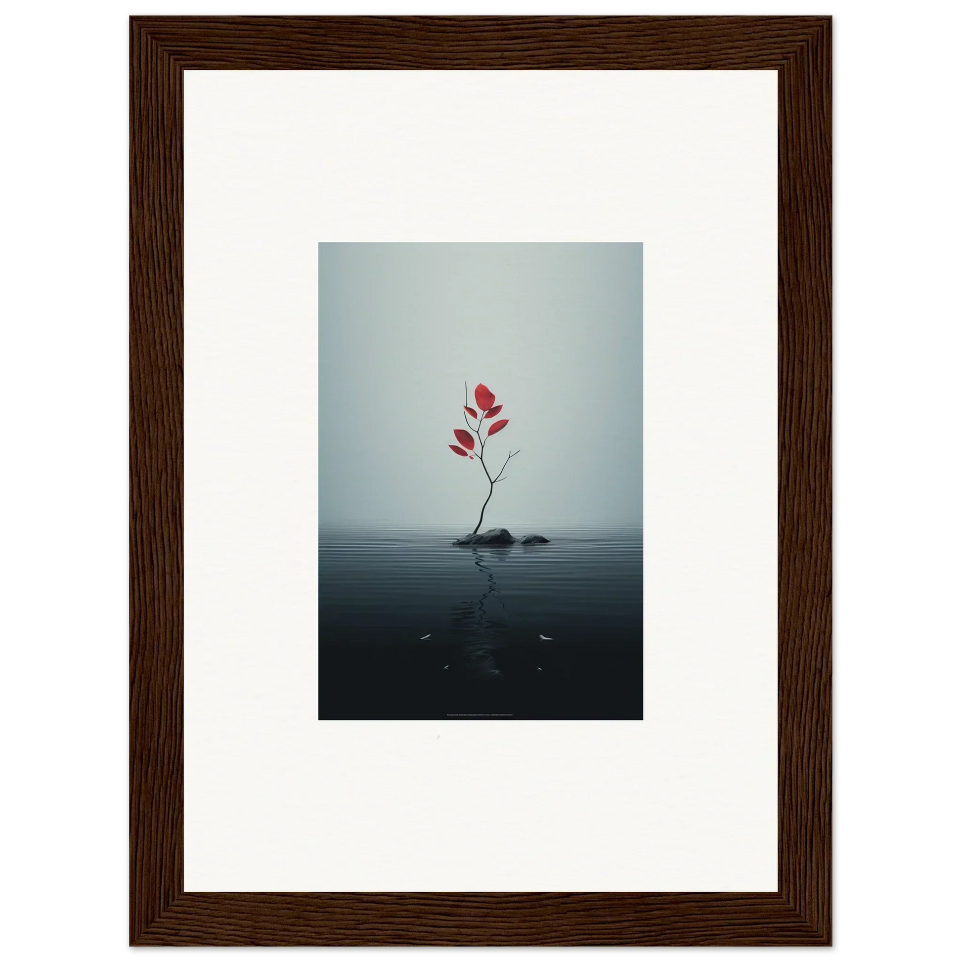 Delicate red flower on rock in water, perfect for Autumn Symphony room decor or framed wall art