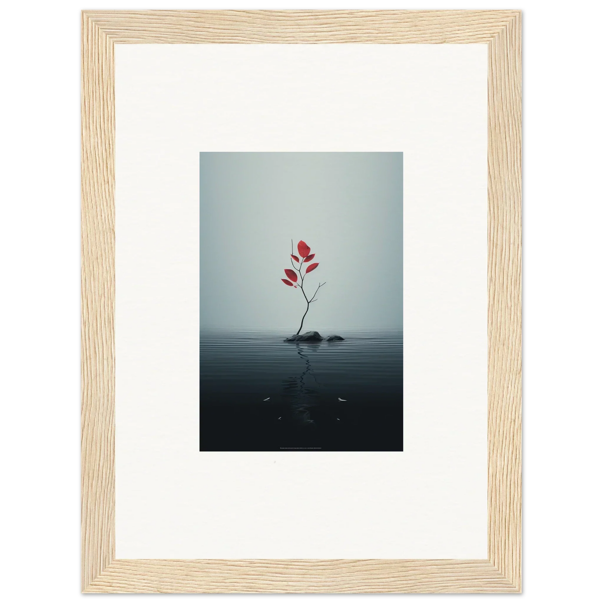 Red flower emerging from rock in water, perfect for Autumn Symphony room decor
