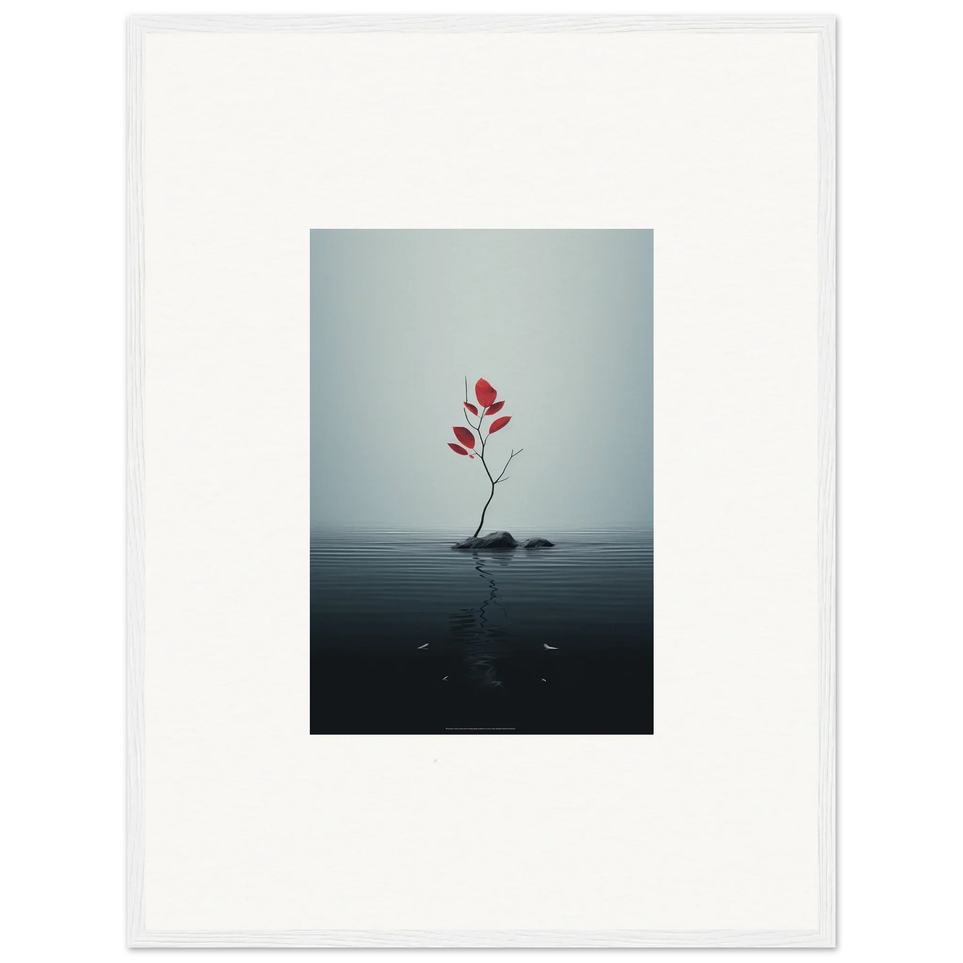 Red flower stem emerging from calm water in Autumn Symphony framed wall art