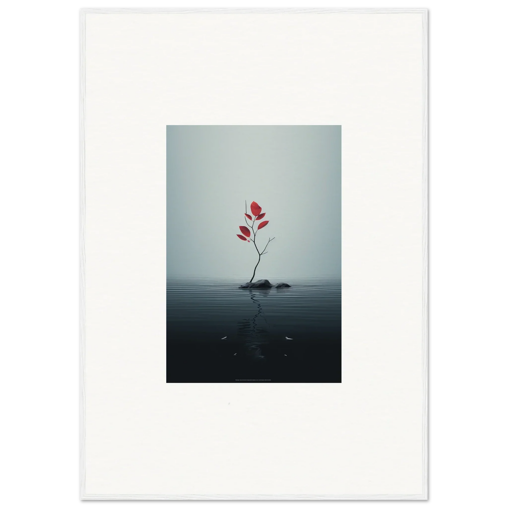 Red flower blooms on a rock in water, perfect for Autumn Symphony room decor