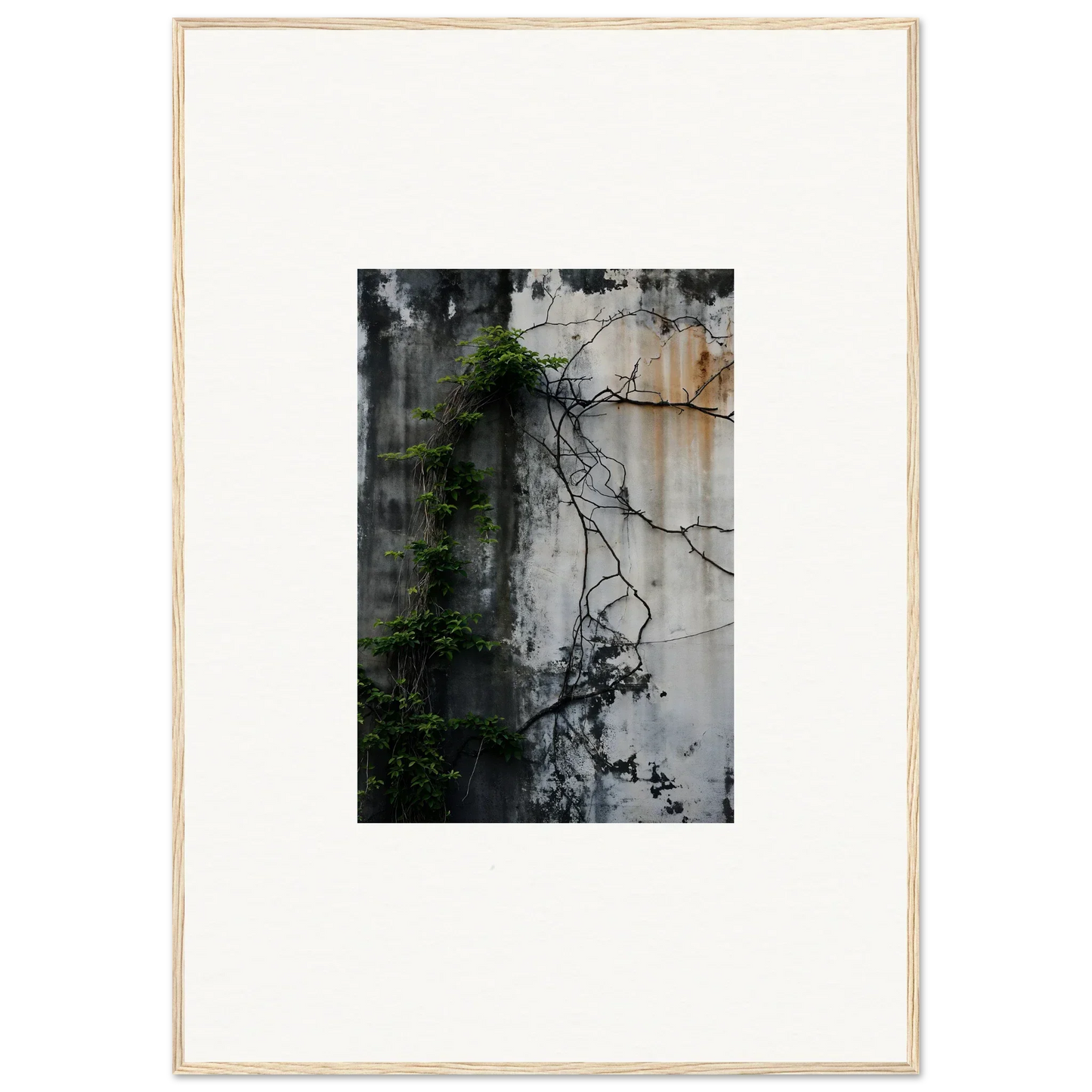 Framed wall art of a weathered wall with vines, ideal for room decor