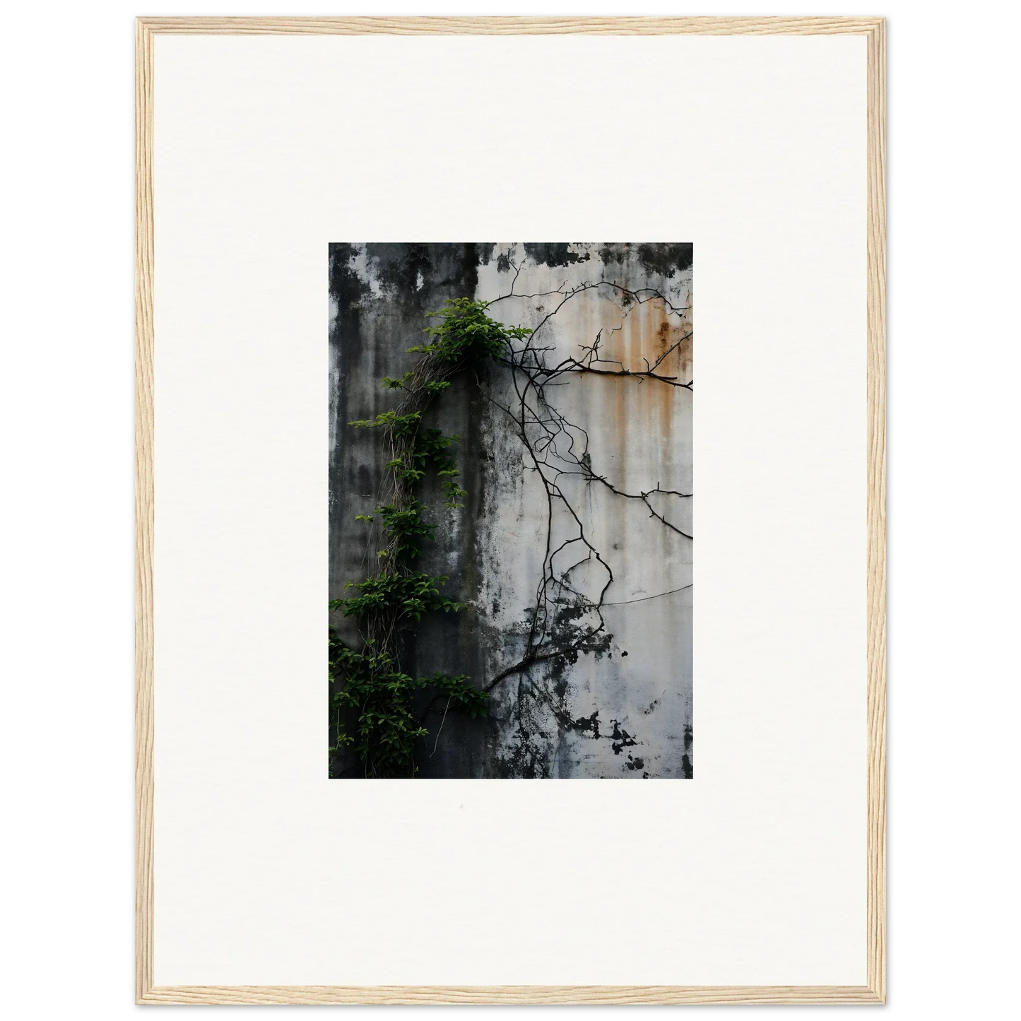 Framed wall art of vines on weathered wall, perfect for stylish room decor