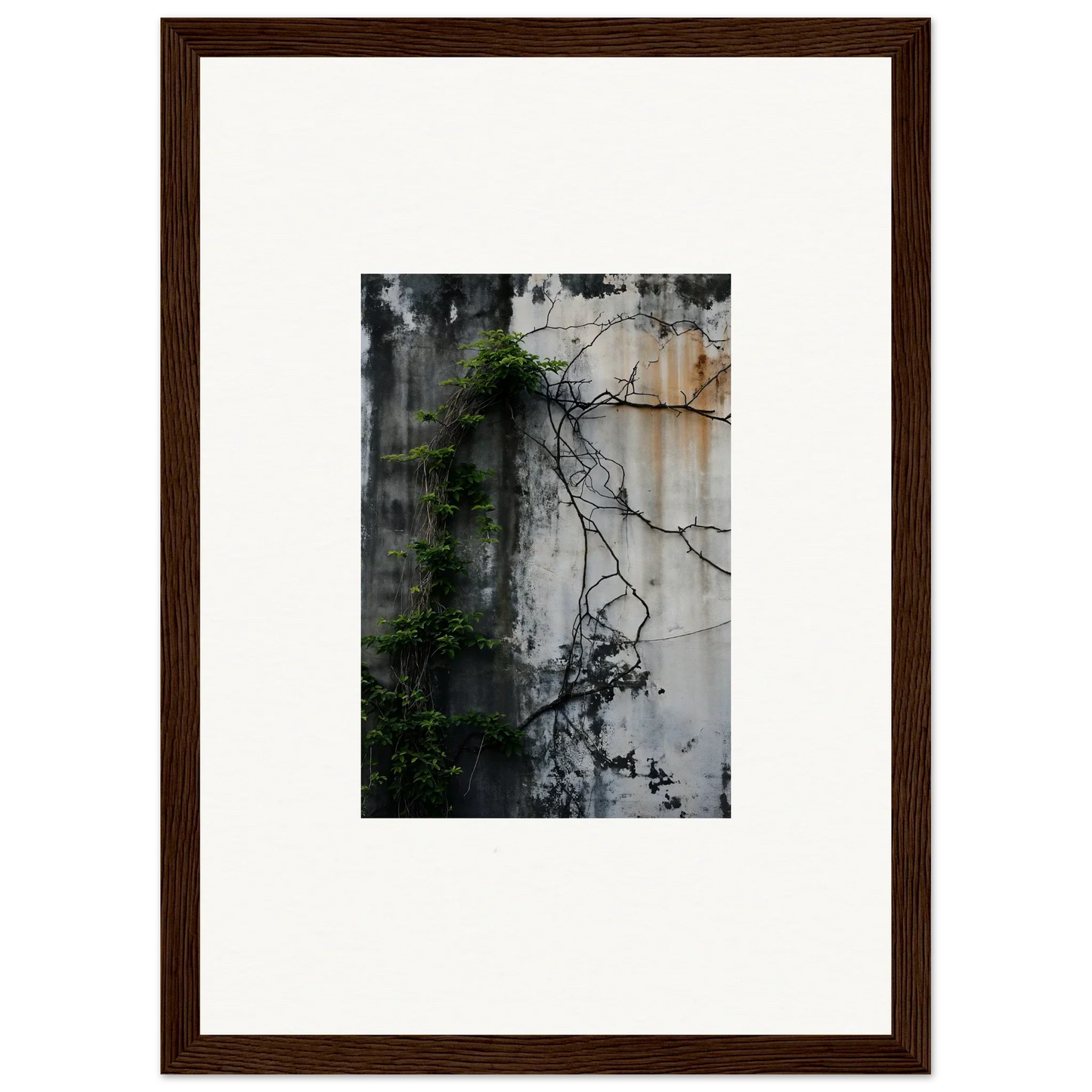 Framed wall art featuring a weathered wall adorned with vines for unique room decor