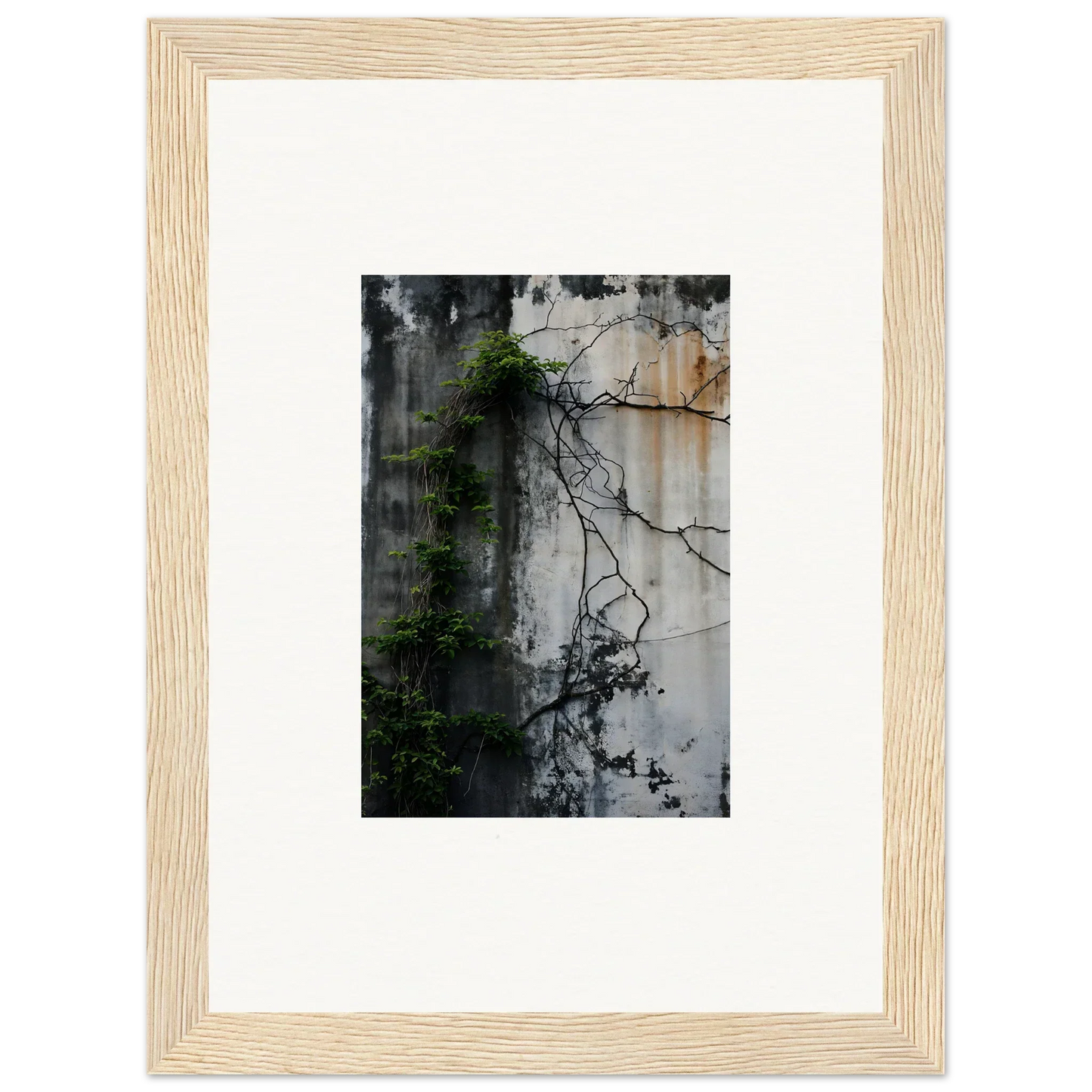 Framed wall art featuring a weathered wall with vines, perfect for room decor