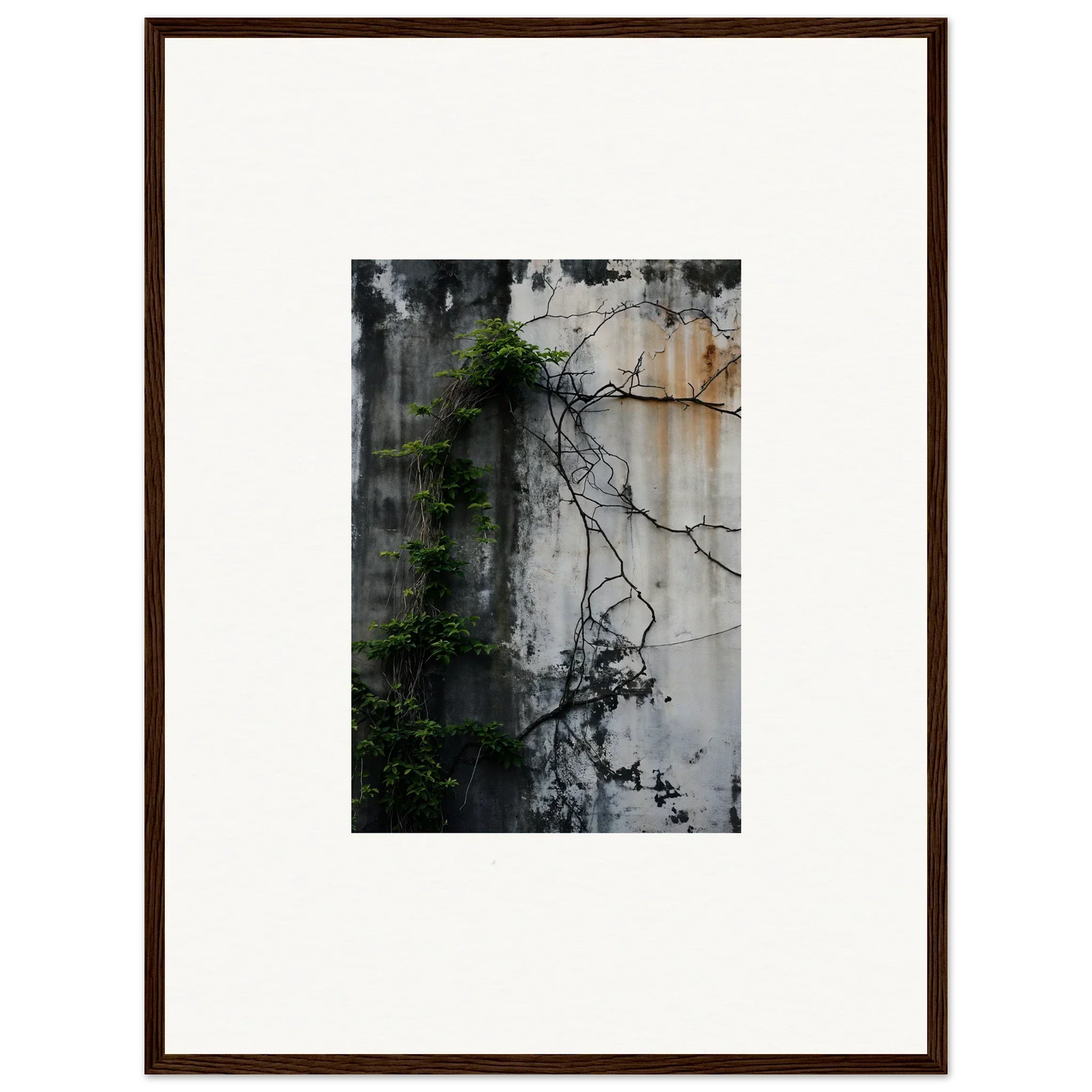 Framed wall art of weathered wall with vines, perfect for room decor enhancement