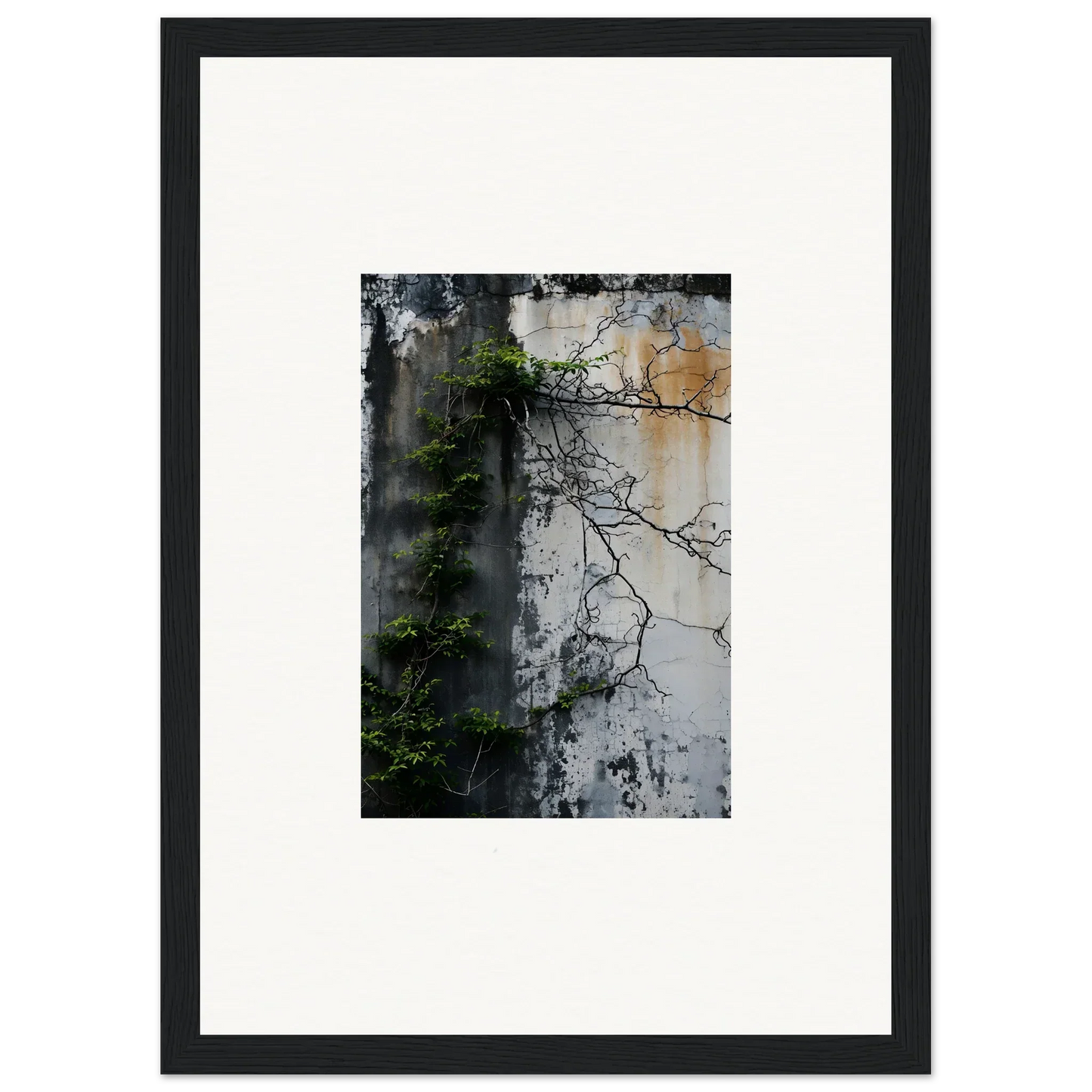 Framed canvas print of a weathered wall with plants, perfect for nature wghhosting room decoration