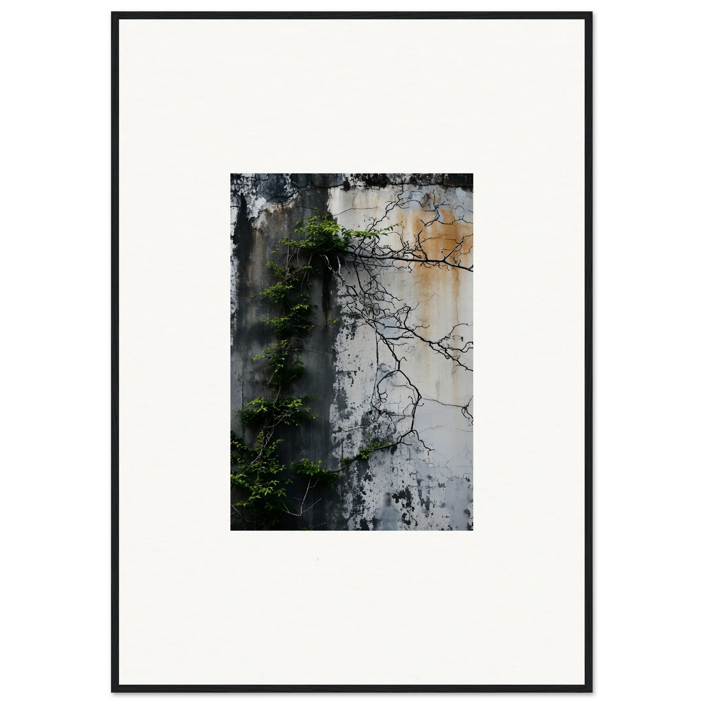 Framed canvas print of a weathered wall with vines for nature Wghhosting room decoration