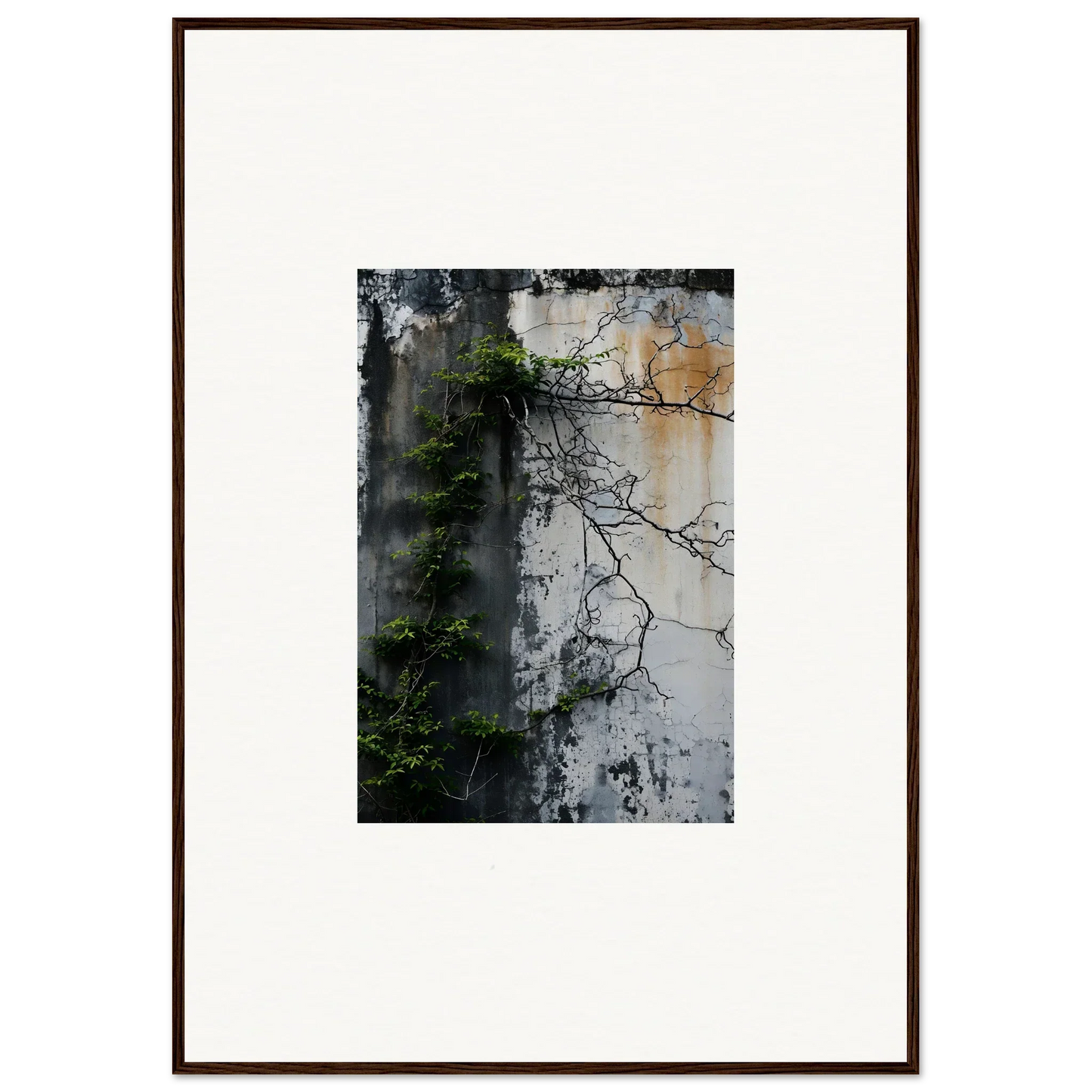 Framed photograph of a weathered wall with vines for nature wghhosting room decoration