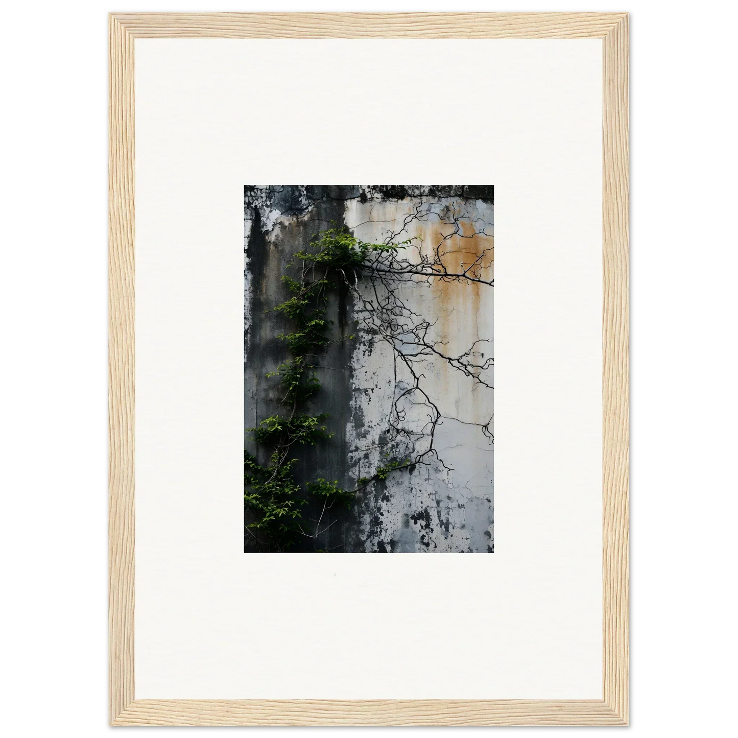 Framed photo of tree branches on a rustic wall, perfect for nature wghhosting decor