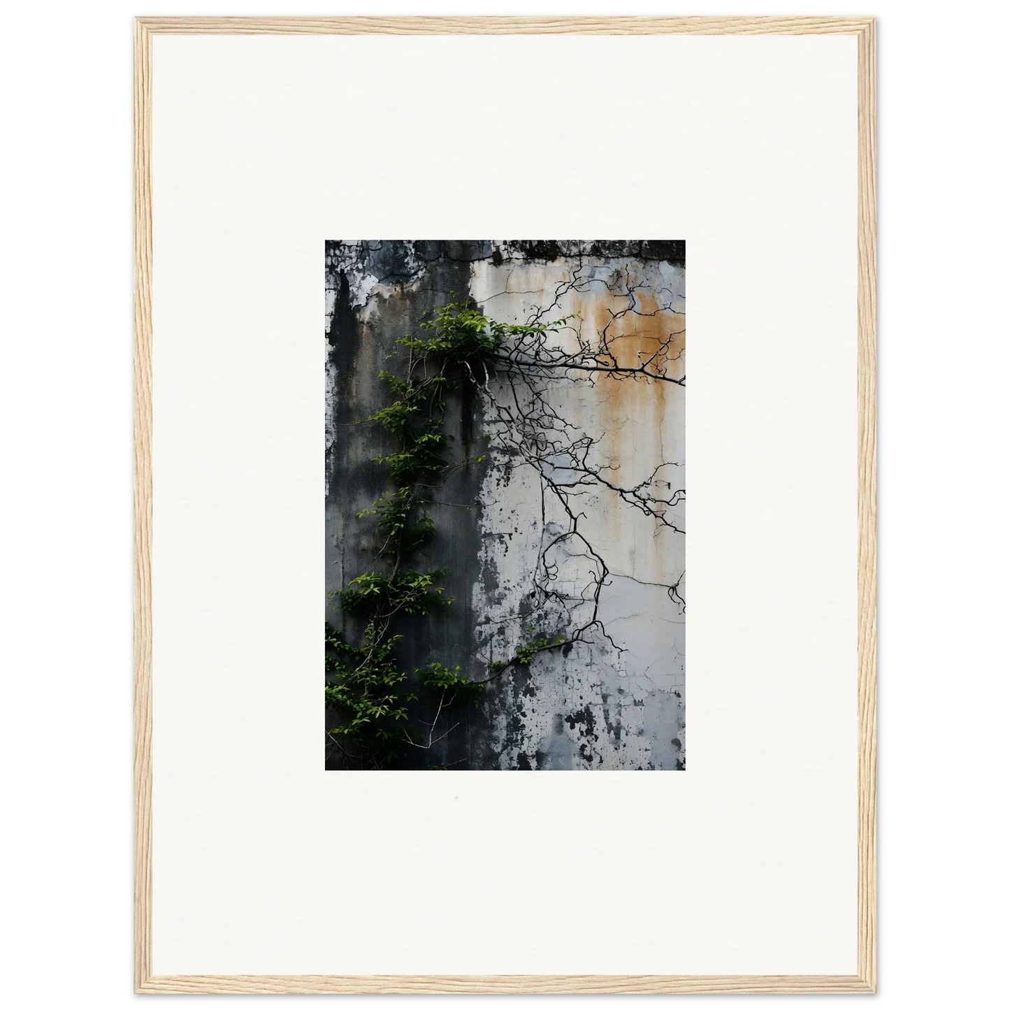 Framed canvas print of a weathered wall with tree branch reflections for nature wghhosting