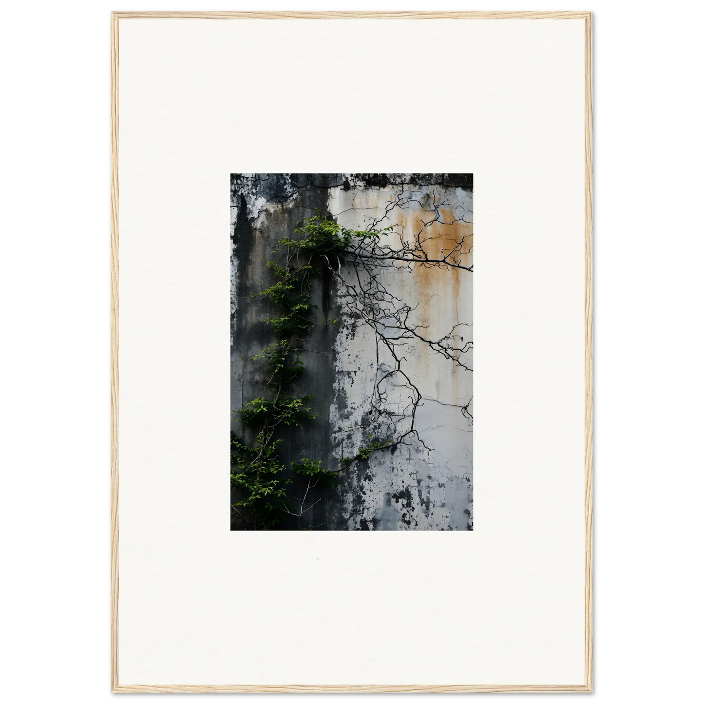 Framed photograph of a weathered wall with vines, perfect for nature wghhosting room decoration