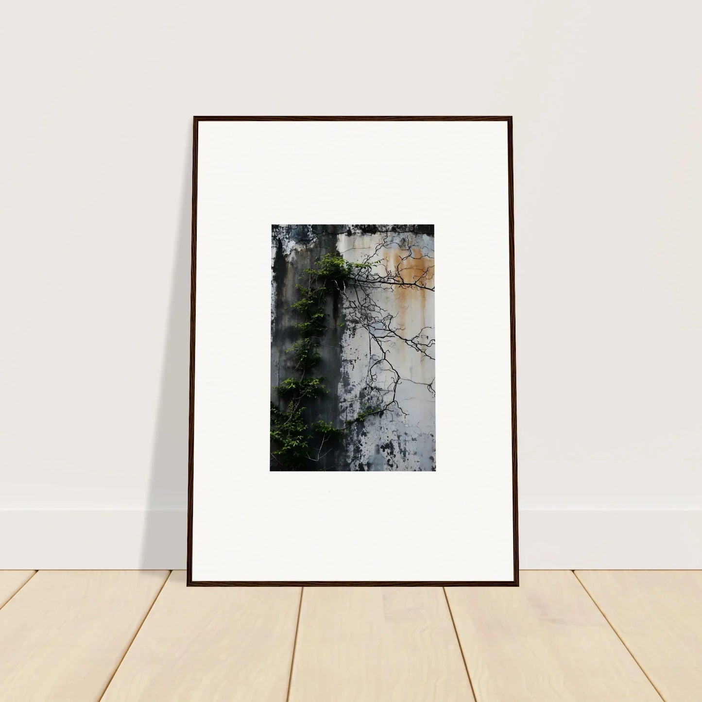 Framed photo of a weathered wall with vine shadows for stylish room decoration in nature wghhosting