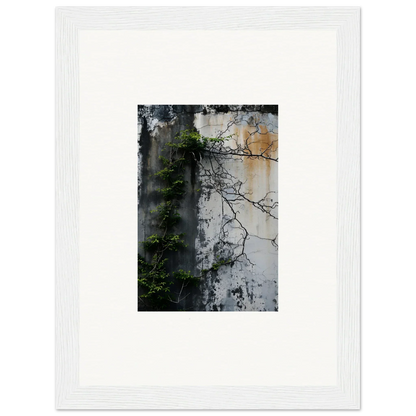 Framed canvas print of a weathered wall with plant tendrils for nature wghhosting room decoration