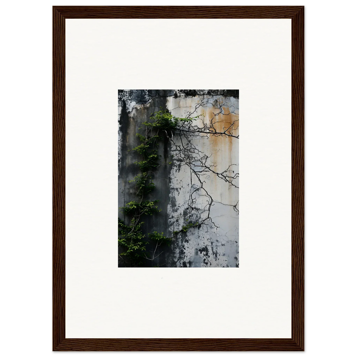 Framed canvas print of a weathered wall with vines, perfect for nature Wghhosting room decoration