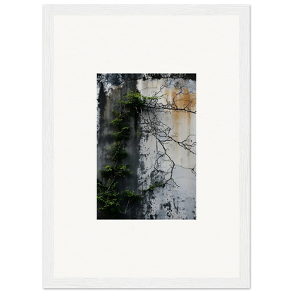 Framed photograph of a weathered wall with plant shadows for nature wghhosting decor