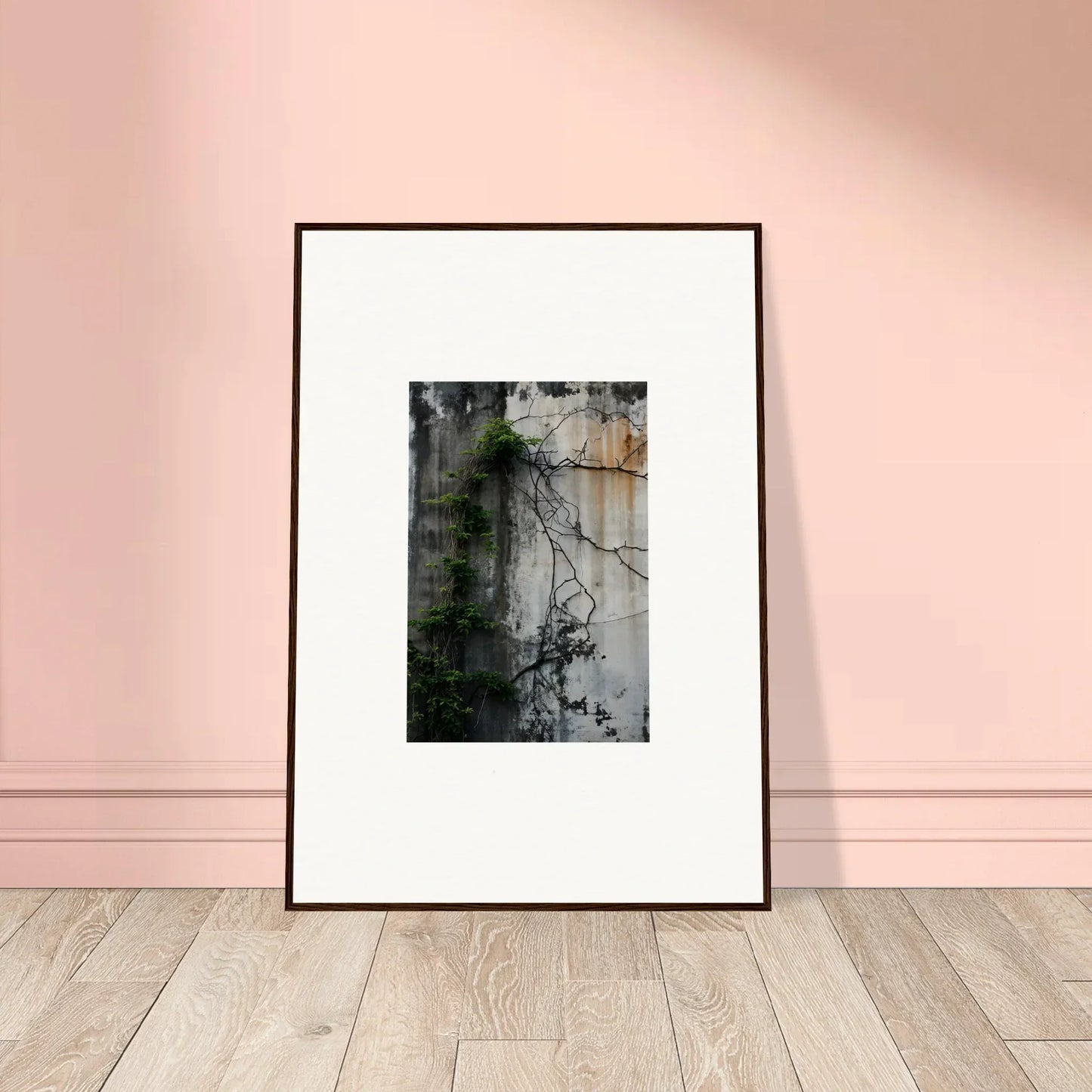 Framed photograph of tree branches casting shadows, perfect for urban tango room decoration