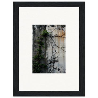 Framed canvas print of a weathered wall with vines for urban tango room decoration