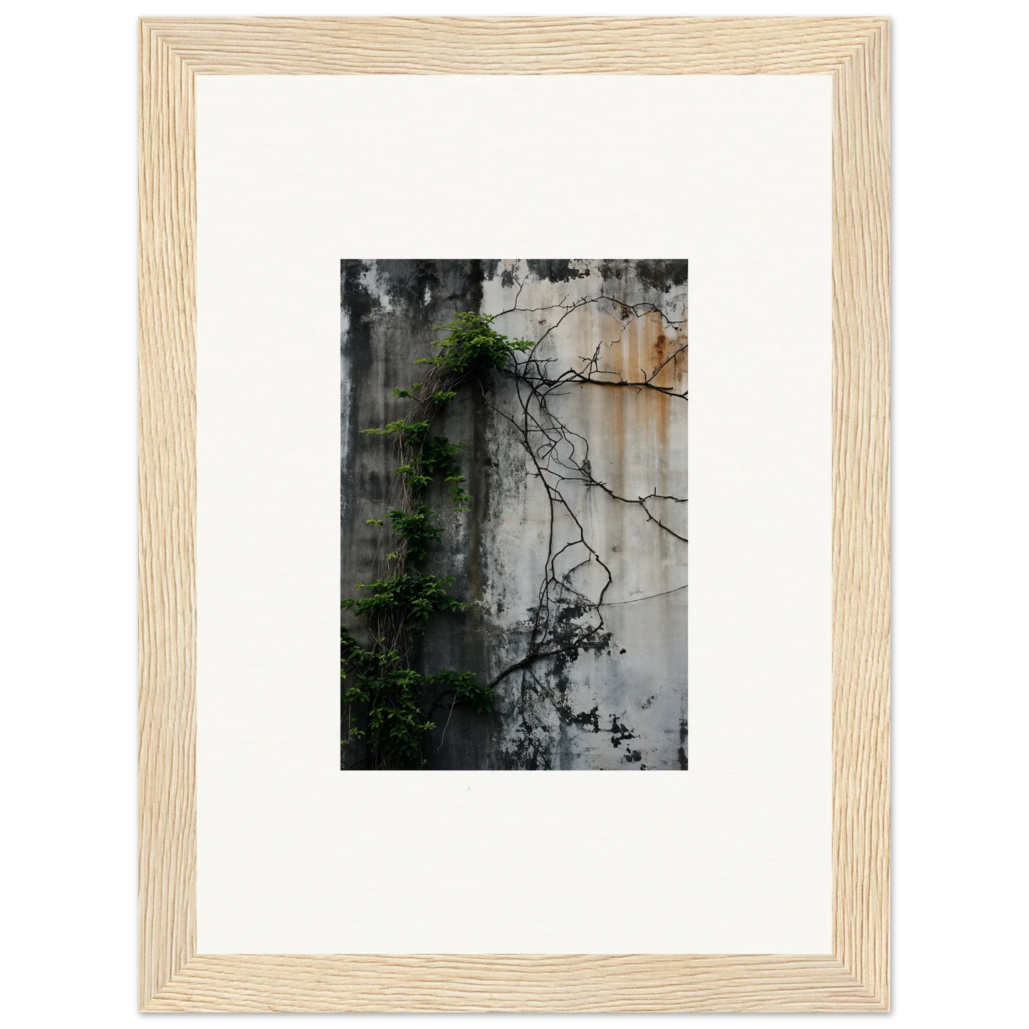 Framed canvas print of a weathered wall with vines, perfect for Urban Tango room decoration