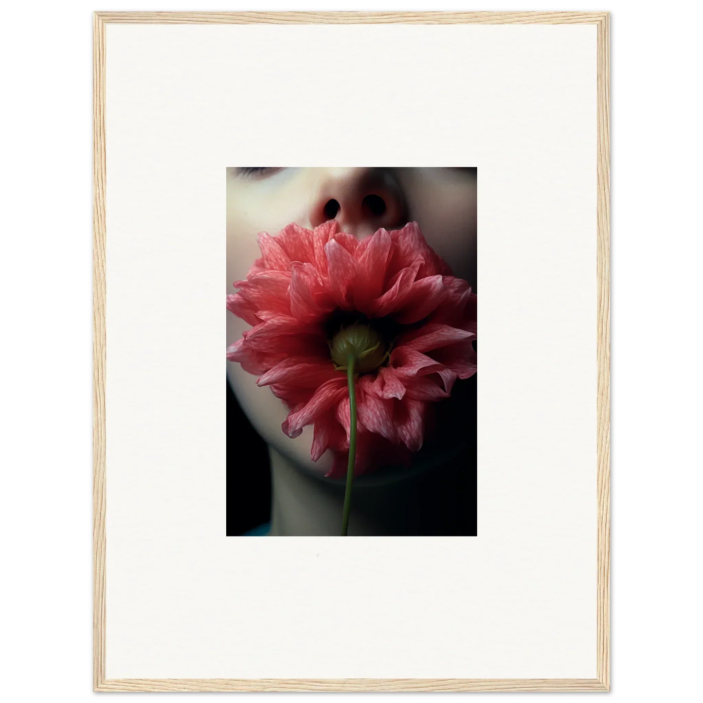 Pink peony flower with ruffled petals, perfect for room decoration or canvas print