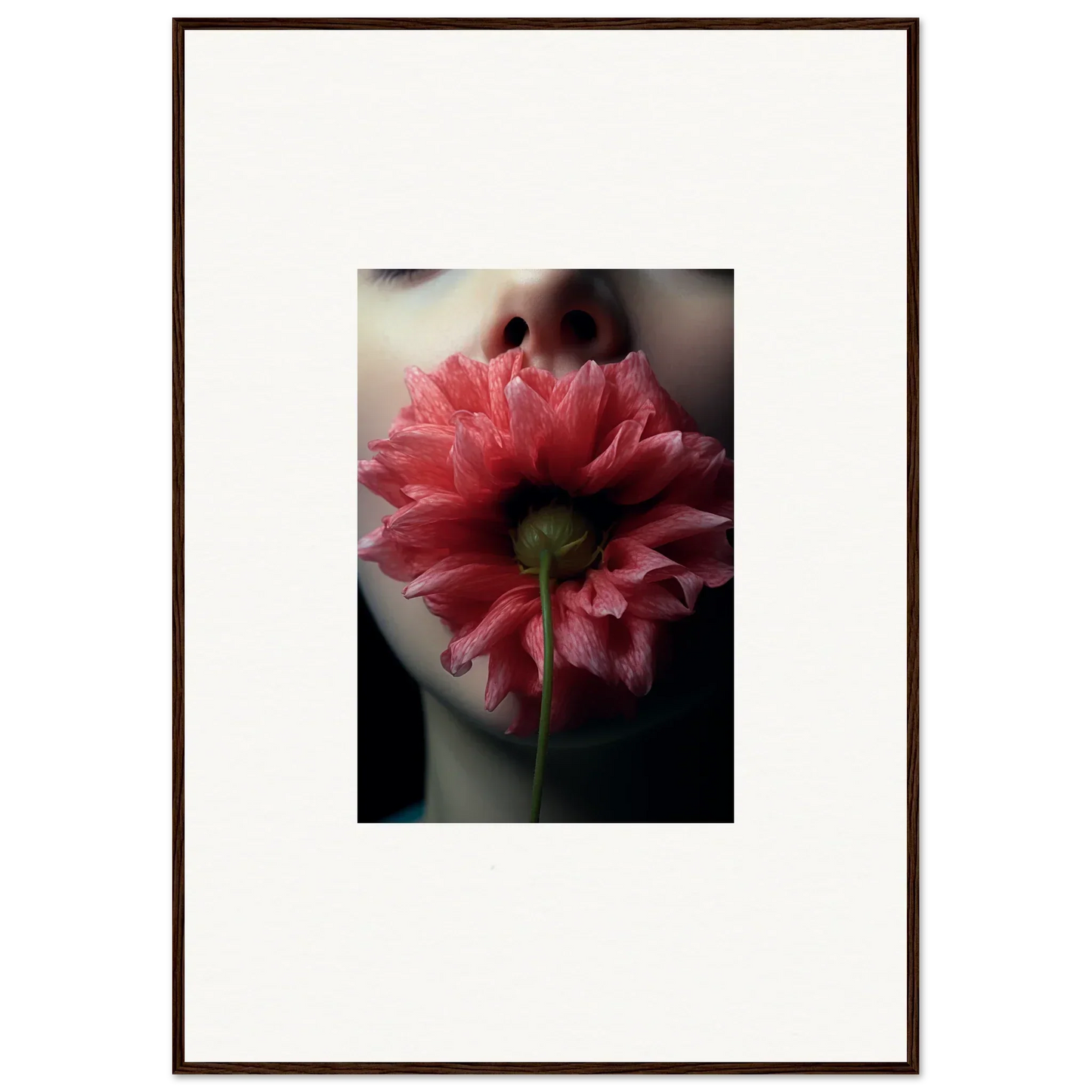 Pink dahlia with layered petals for a stunning room decoration canvas print