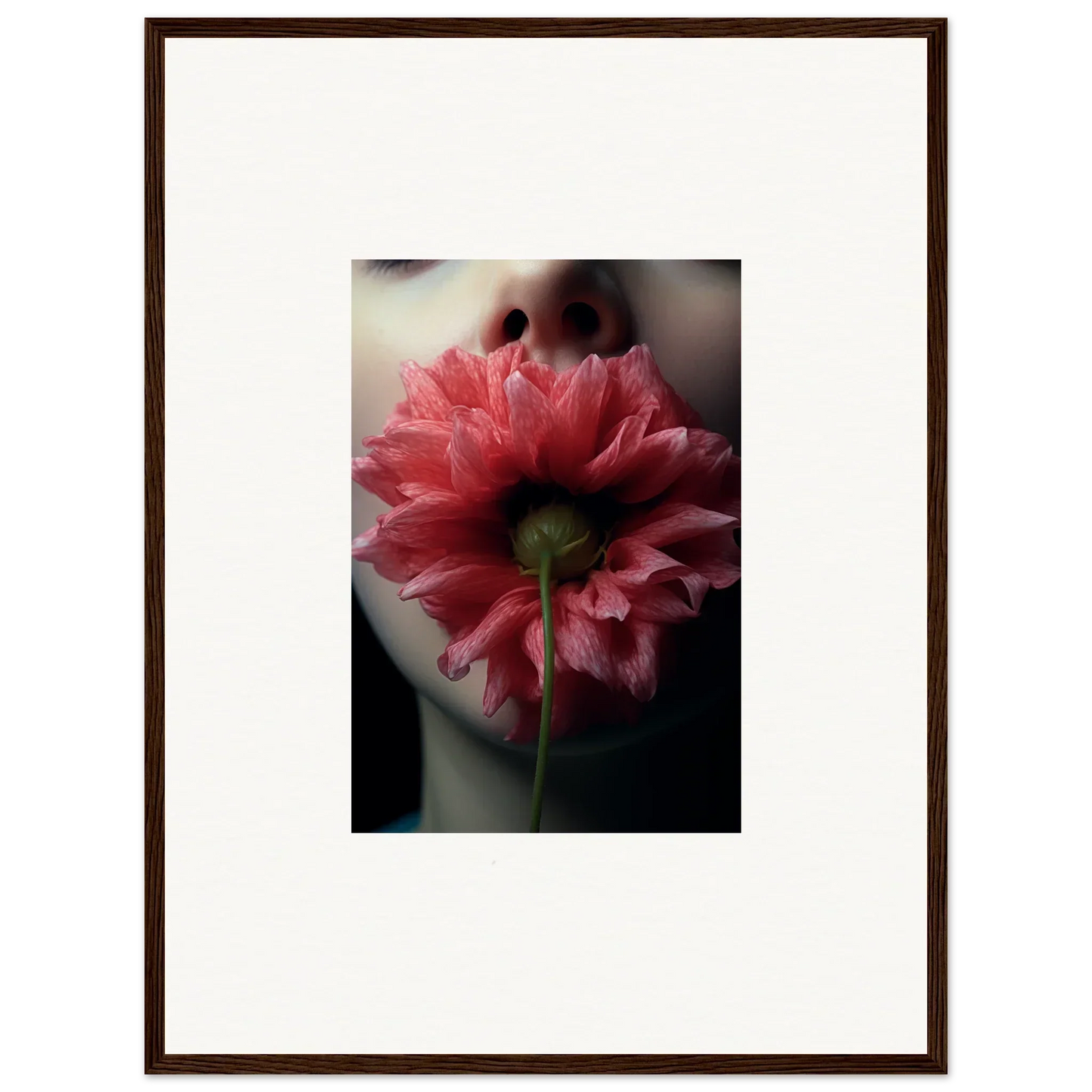 Pink peony from behind showcasing layered petals, perfect for a bloom eternally canvas print