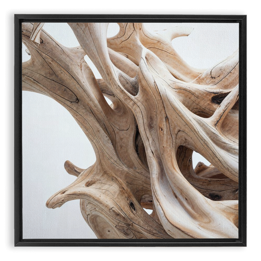 A framed print of drift wood