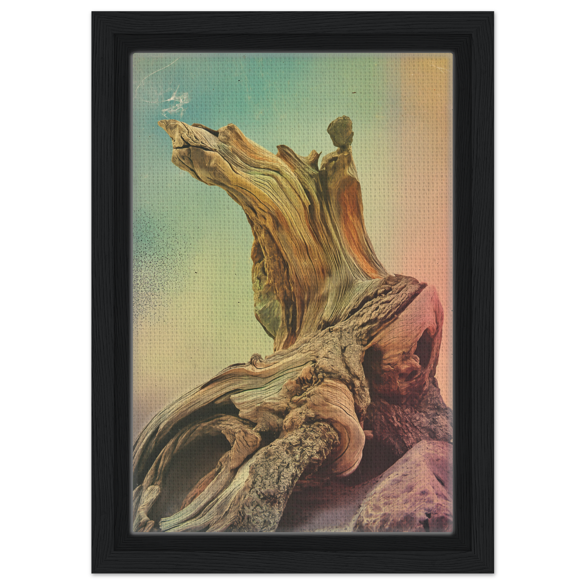 Gnarled Daydream Echoes framed canvas print featuring weathered driftwood textures