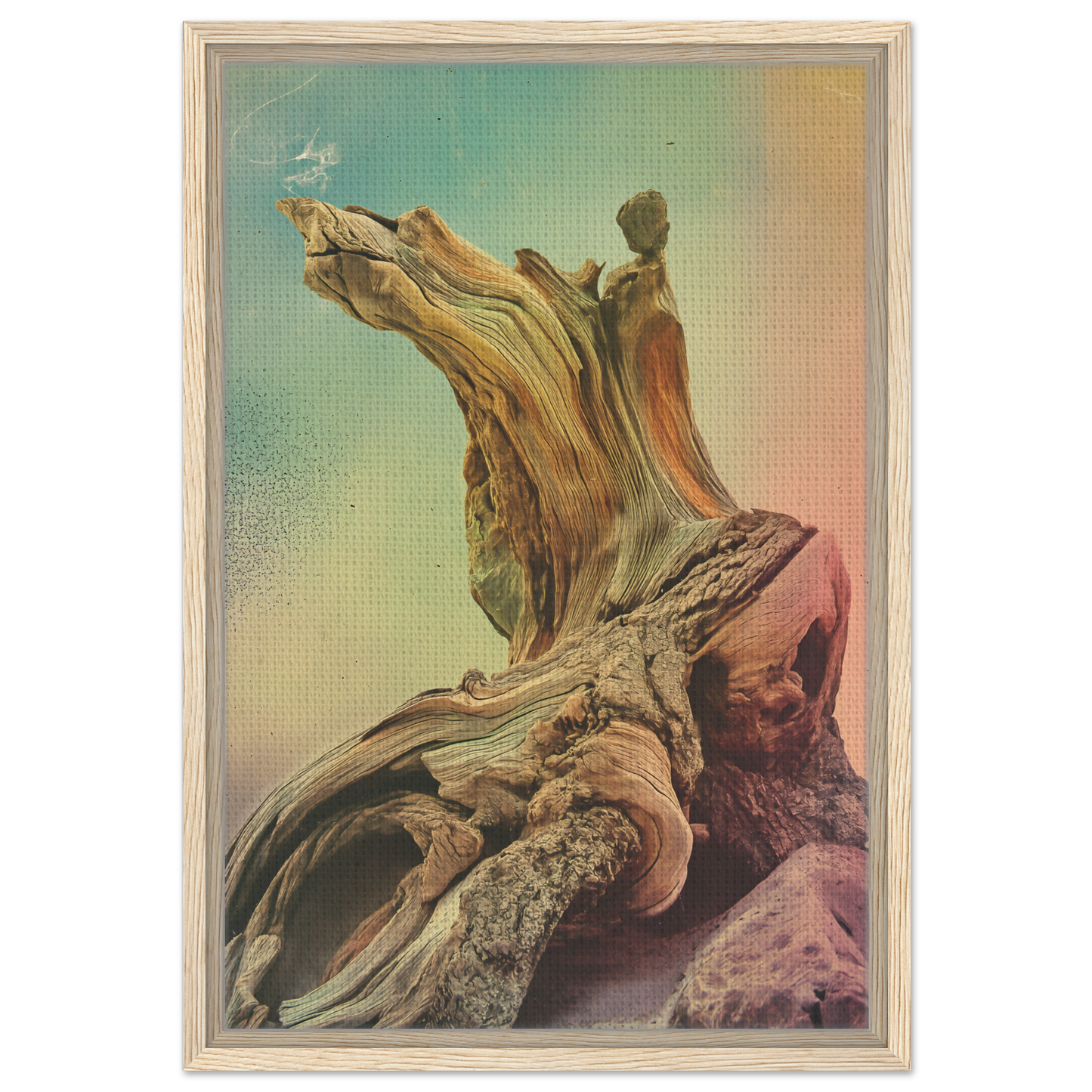 Gnarled tree stump with twisted wood grain, featured in Gnarled Daydream Echoes room decor