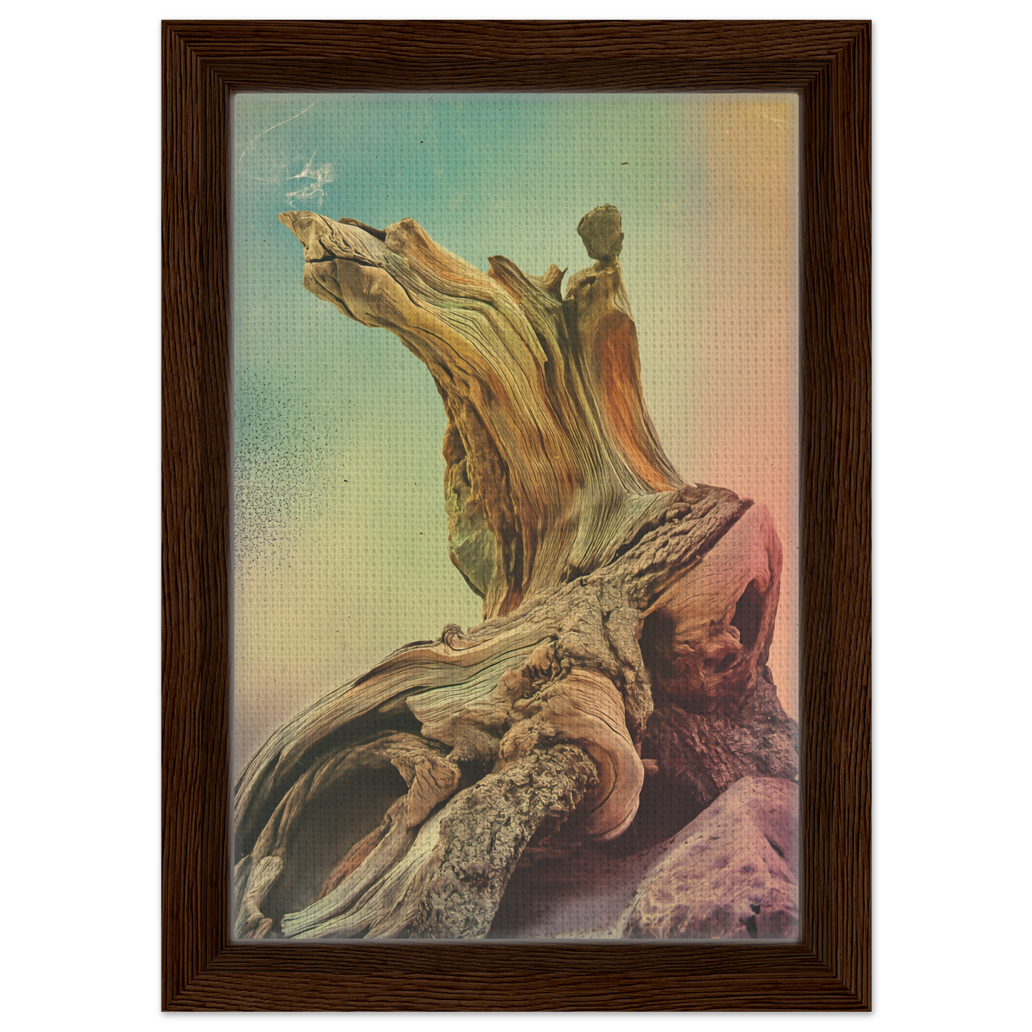 Gnarled driftwood with intricate textures for Gnarled Daydream Echoes room decor