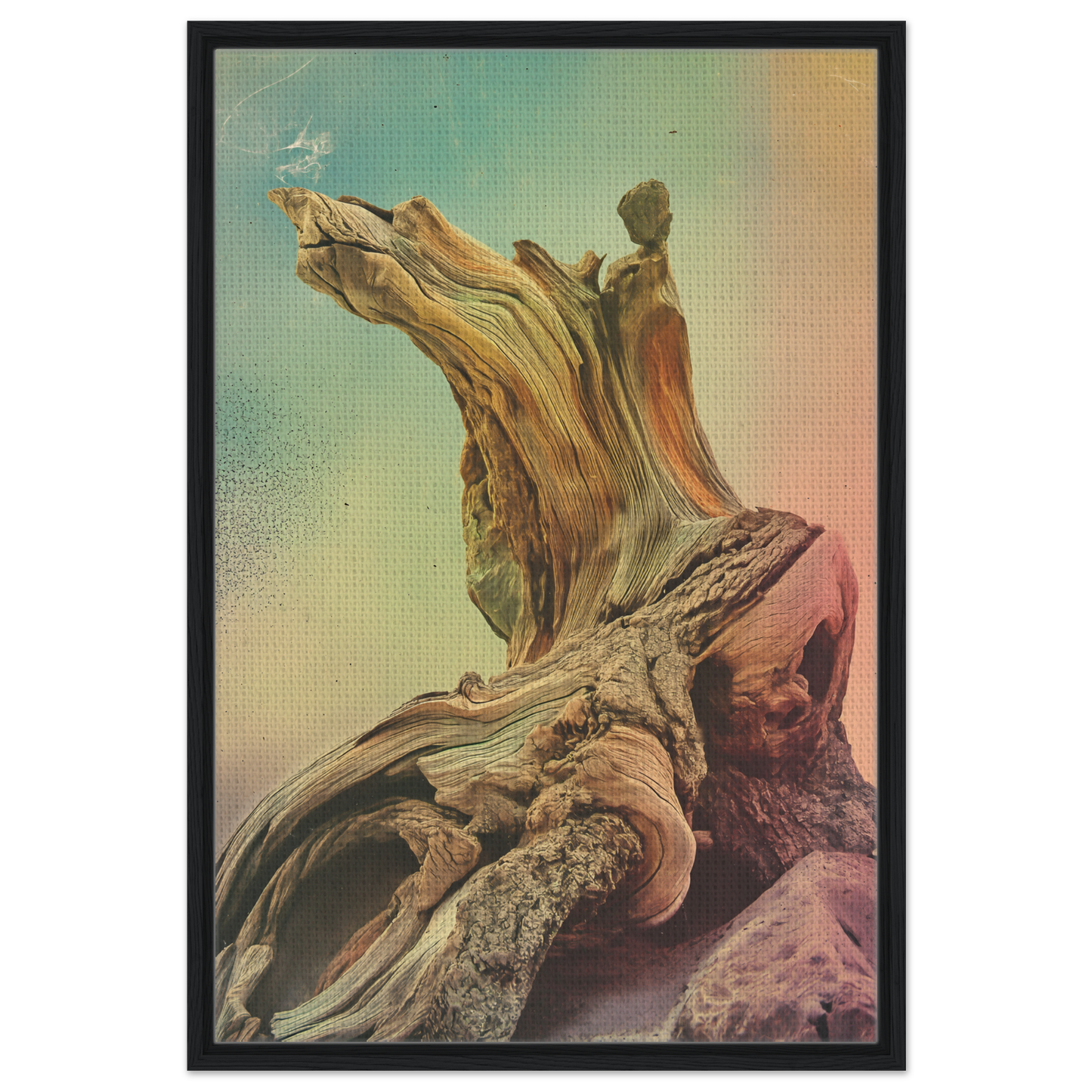 Gnarled driftwood with intricate textures for Gnarled Daydream Echoes room decor