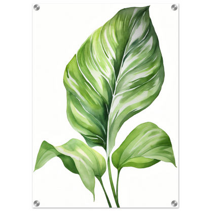 A green leaf painting on a white background