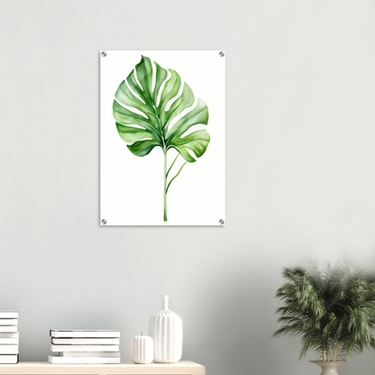 A green leaf on a white background