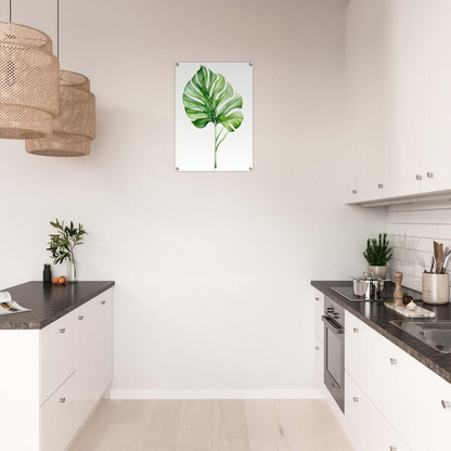 A green leaf on a white wall in a kitchen