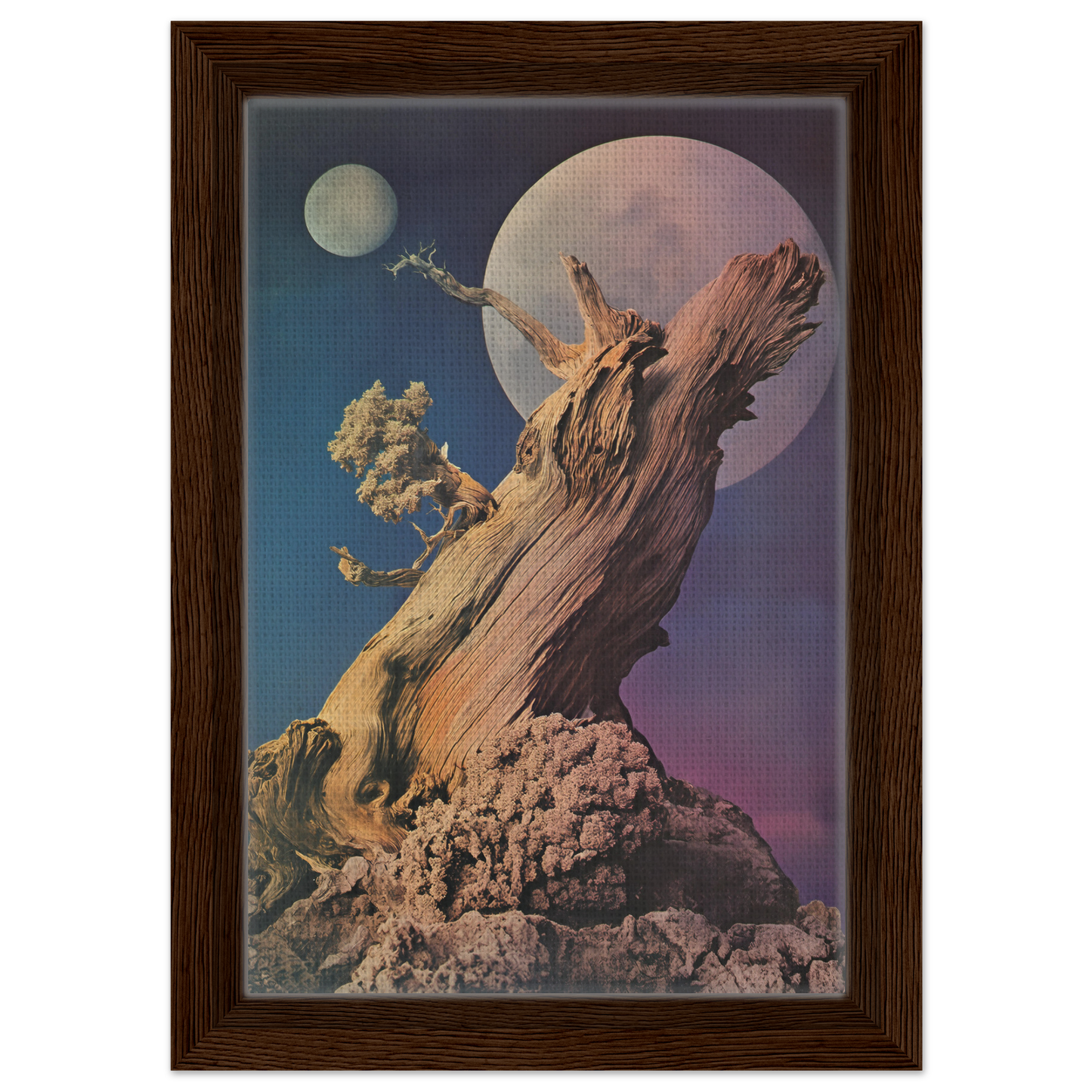 Twisted weathered tree stump sculpture for Lunar Tree Epiphany Framed Canvas Print