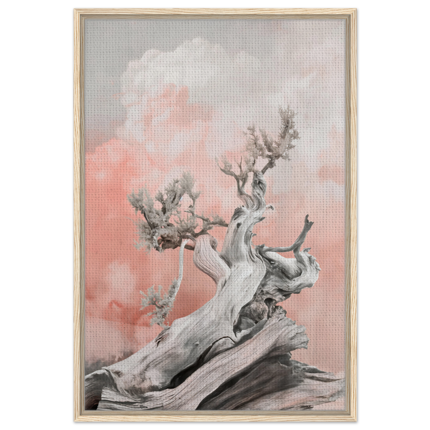 Gnarled driftwood against a pink-gray sky, embodying Nature’s Twisted Serenity for room decor