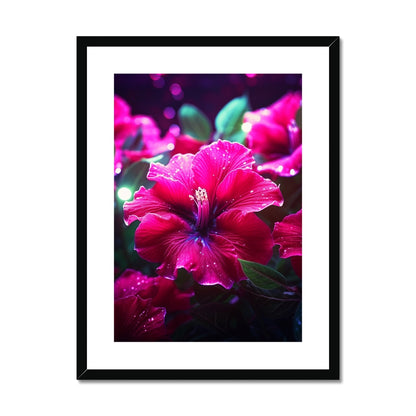 A pink flower with water droplets on it