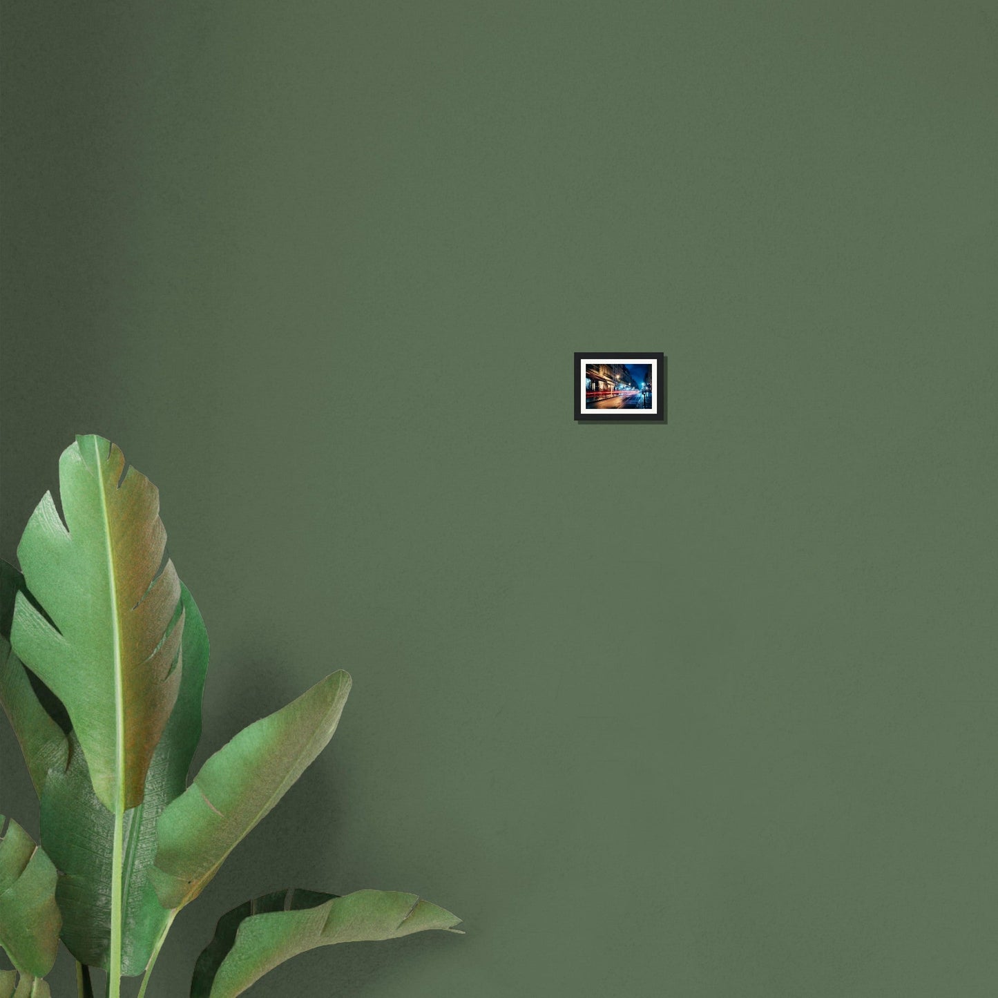 A plant with a small square shaped picture on it